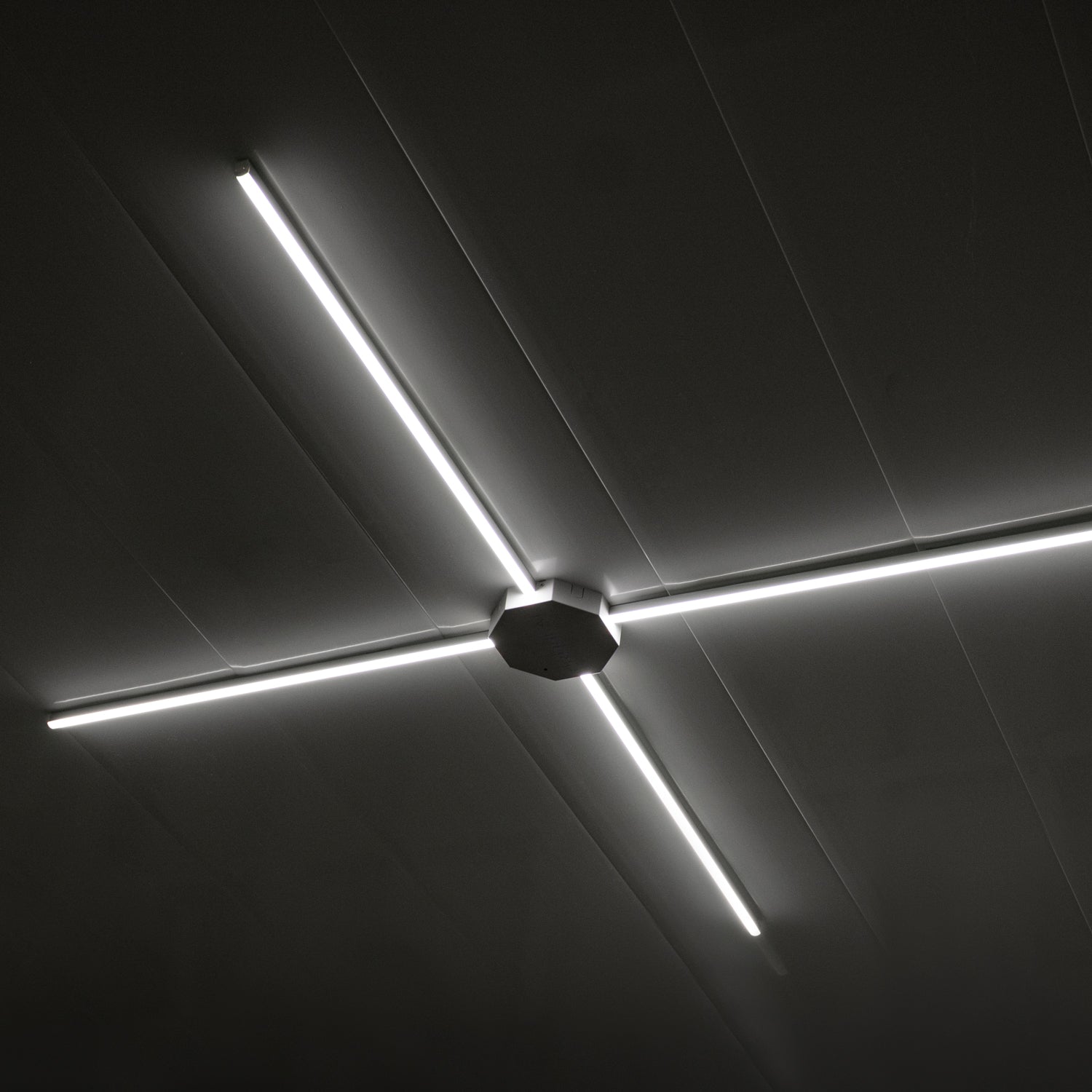 Starburst 24 ft. - Lynk Light Kit