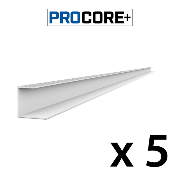 8 ft. PROCORE+ Silver carbon fiber PVC Side Trim Pack